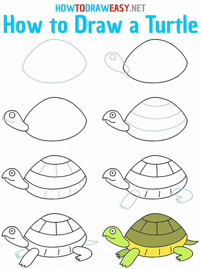 How To Draw A Turtle Printable