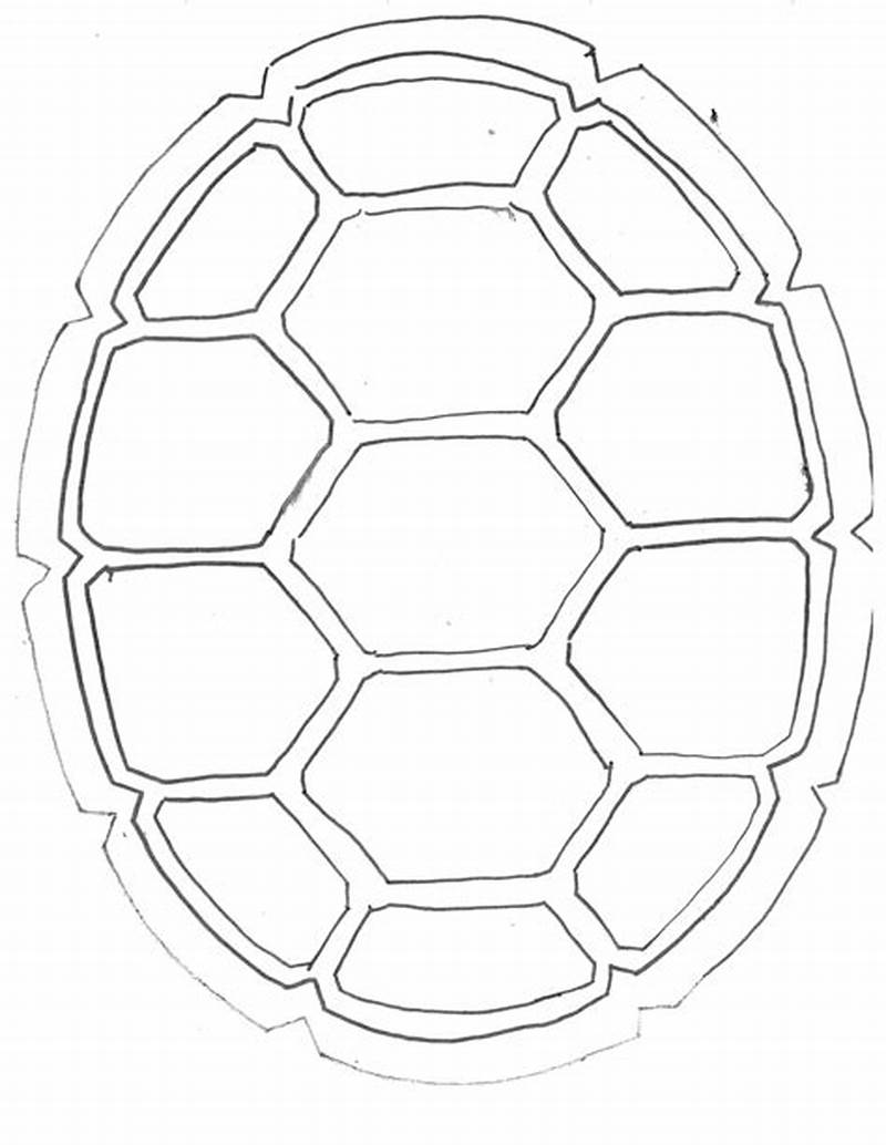 How To Draw A Turtle Shell Pattern