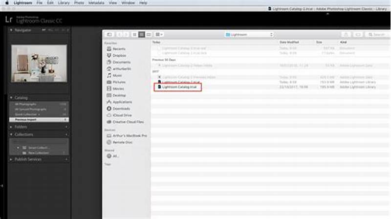 How To Export Lightroom Catalog To Another Computer