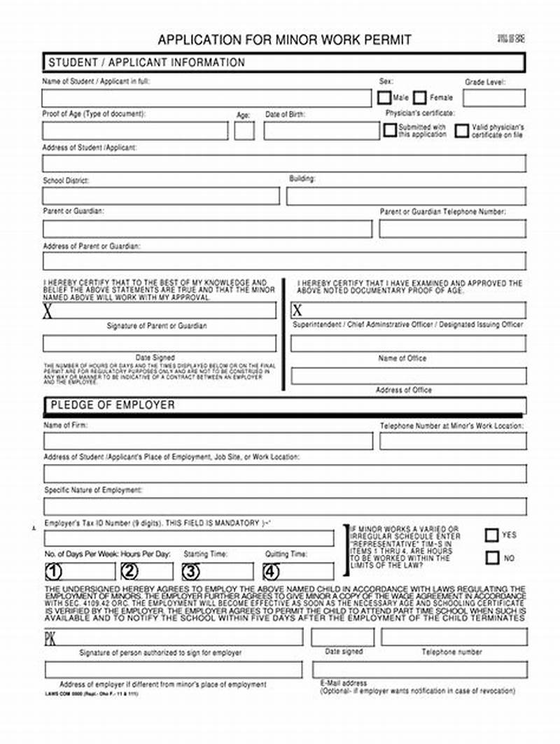How To Fill Work Permit Application Form