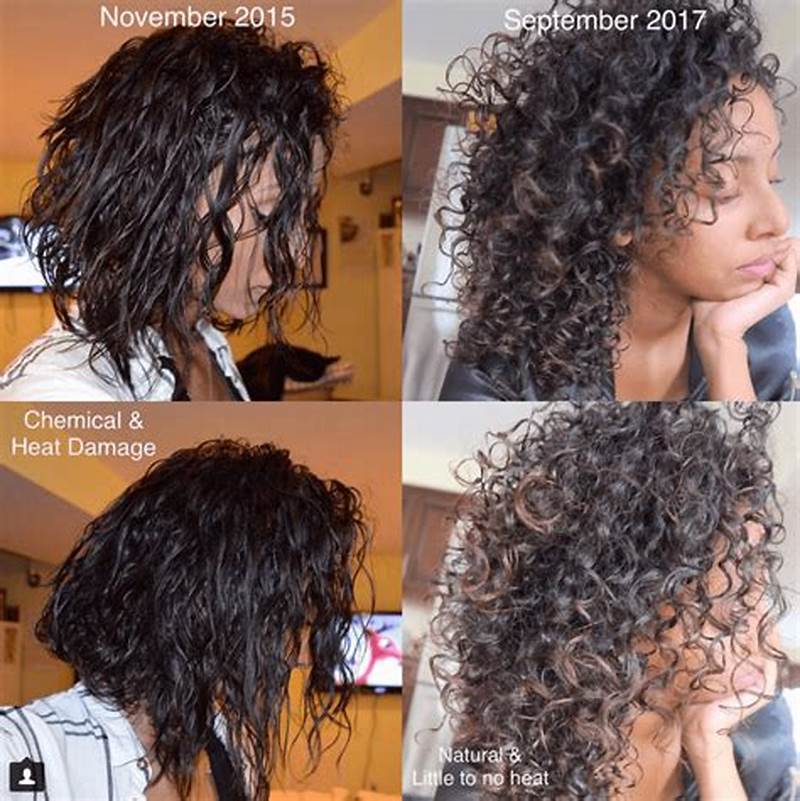 How To Fix Damaged Curl Pattern