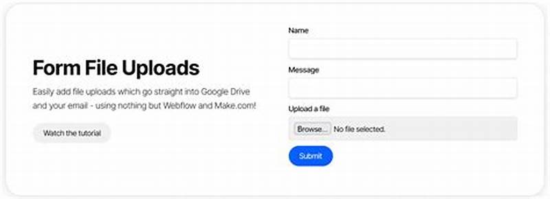 How To Make A Form In Webflow