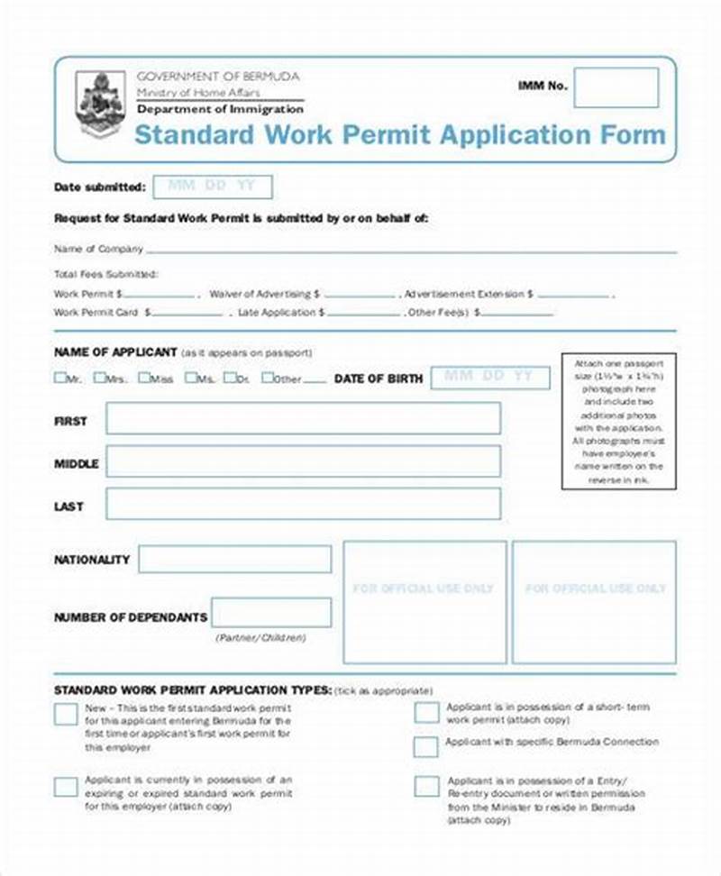 How To Make Work Permit Application Form