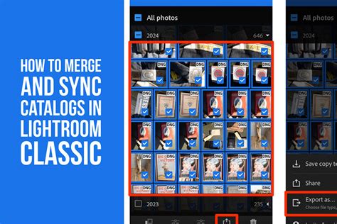 How To Merge Catalogs In Lightroom