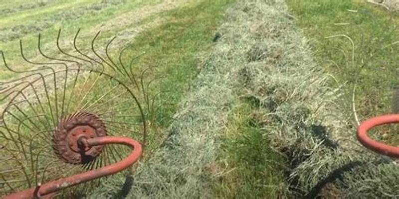 How To Rake Hay Pattern