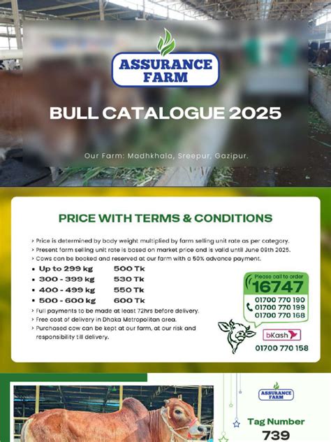 How To Read Bull Catalogue