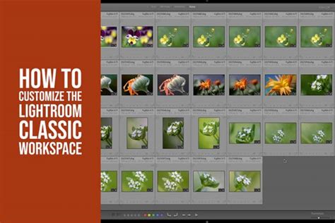 How To Sync Lightroom Catalogs To Web
