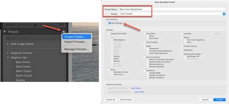 How To Transfer Develop Preset To New Catalog
