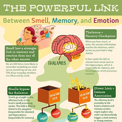 How are memory and emotion connected