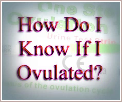 How do I know if I ovulated today