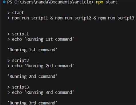 How do I run multiple NPM commands