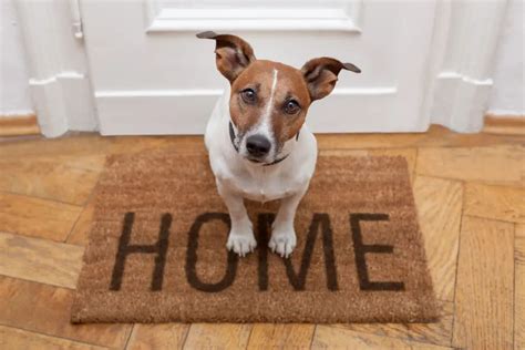 How do you get around a breed restriction when renting