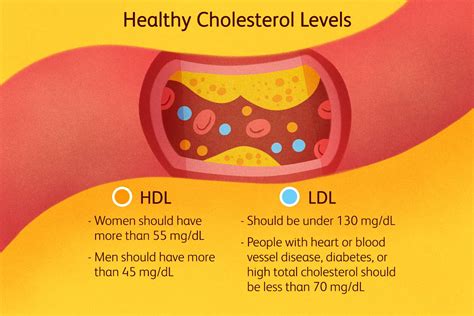 How do you raise your cholesterol level