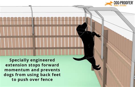 How do you stop a cat from jumping on you