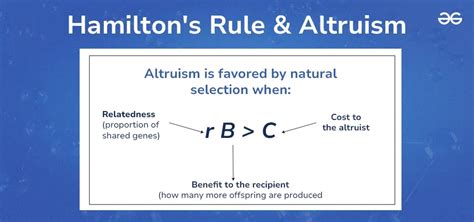 How do you use Hamilton s rule