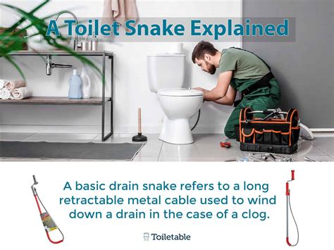How do you use a snake in a toilet