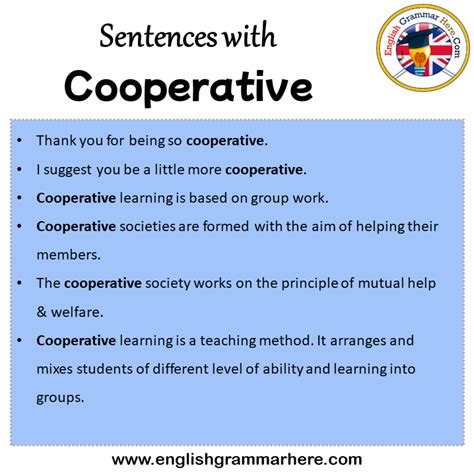 How do you use cooperative in a sentence