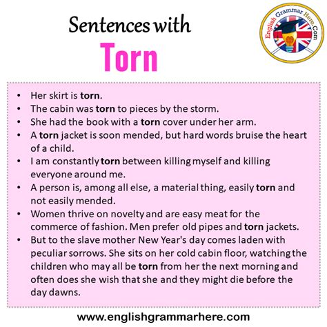 How do you use torn apart in a sentence