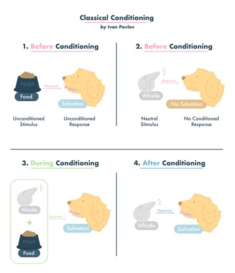 How does classical conditioning relate to memory