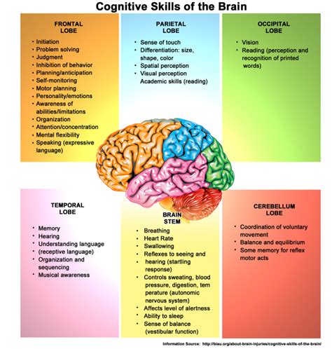 How does cognition occur in the brain