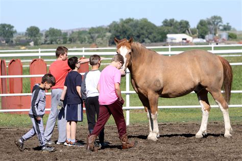 How does equine assisted therapy work