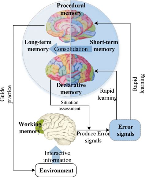 How does memory affect learning process