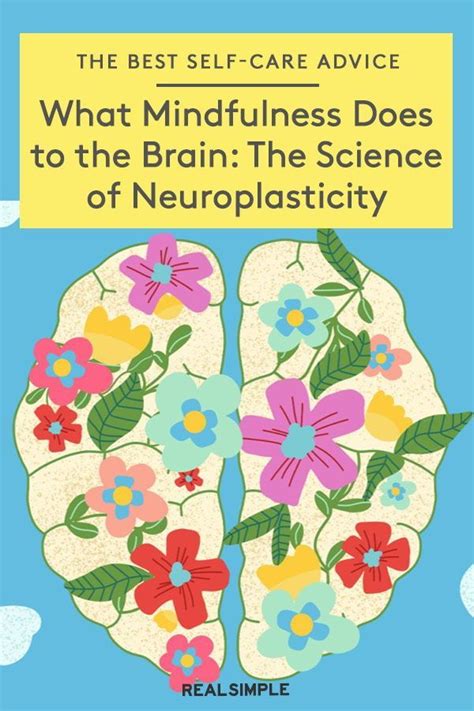 How does mindfulness help neuroplasticity