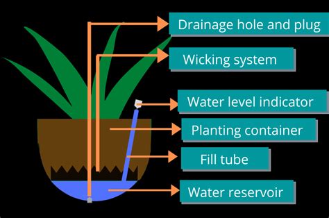 How does self watering work