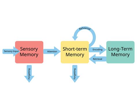 How does sensory memory become short term memory