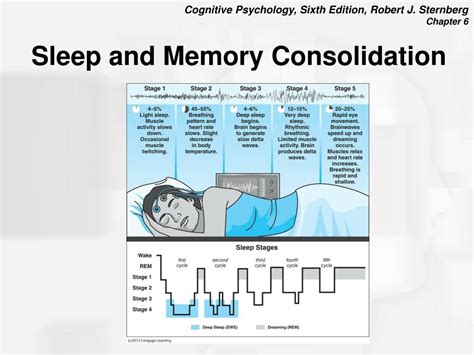How does sleep affect memory consolidation