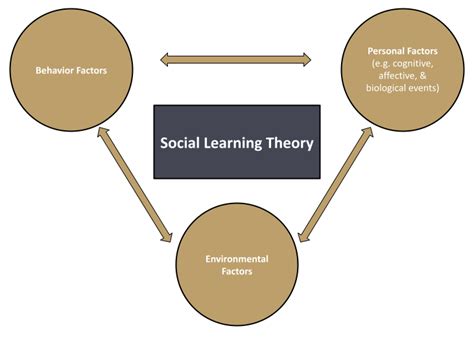 How does social learning theory explain human Behaviour