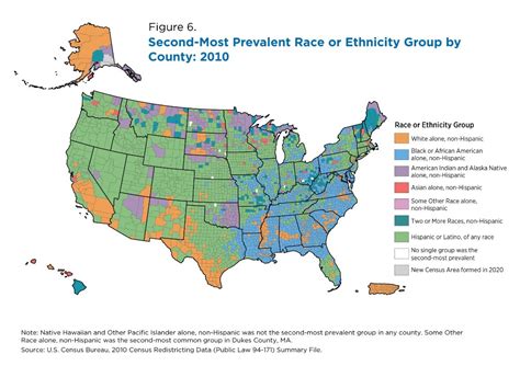 How does the Census define race