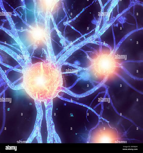 How does the brain make connections