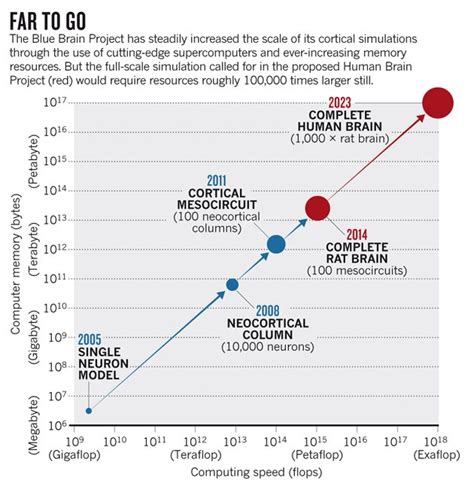 How does the human brain compared to a supercomputer