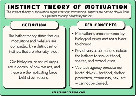 How does the instinct theory explain motivation