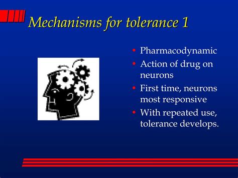 How does tolerance to a drug develop