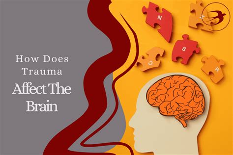 How does trauma affect decision making
