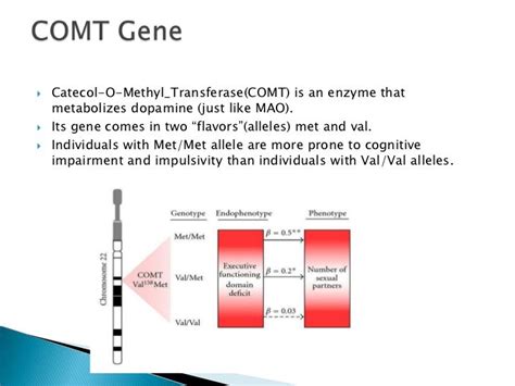 How is COMT linked to schizophrenia