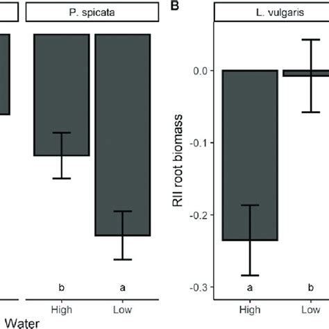 How is RII calculated