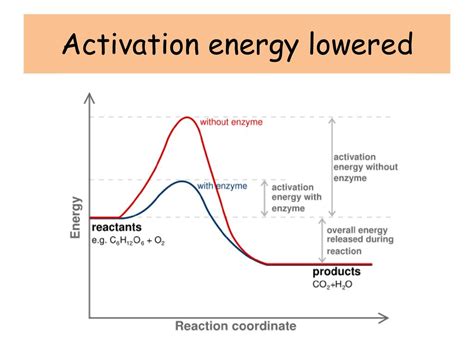 How is activation energy lowered