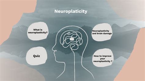 How is neuroplasticity done