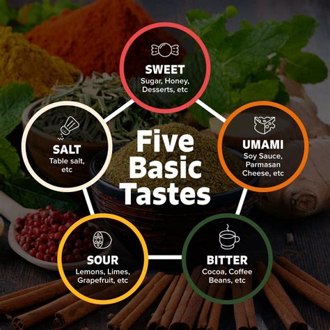 How is umami different from savory