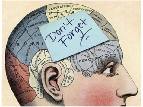 How learning and memory are related