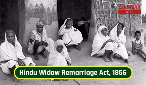 How likely will widows remarry