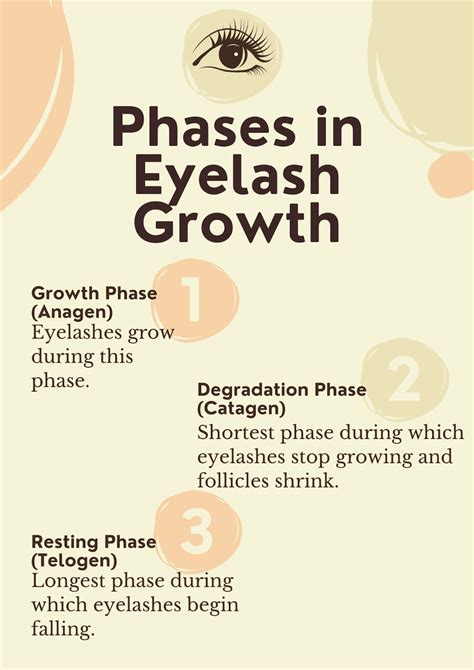 How long does it take for eyelashes to grow back if pulled out