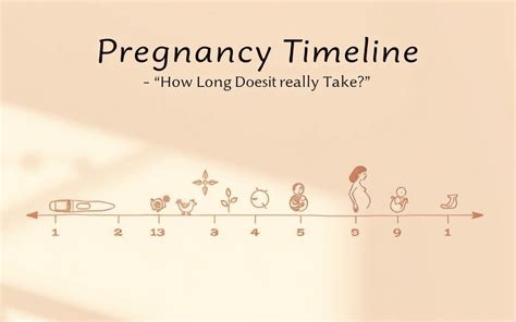 How long does it take the average couple to get pregnant