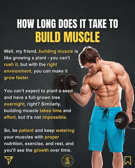 How long does it take to build muscle