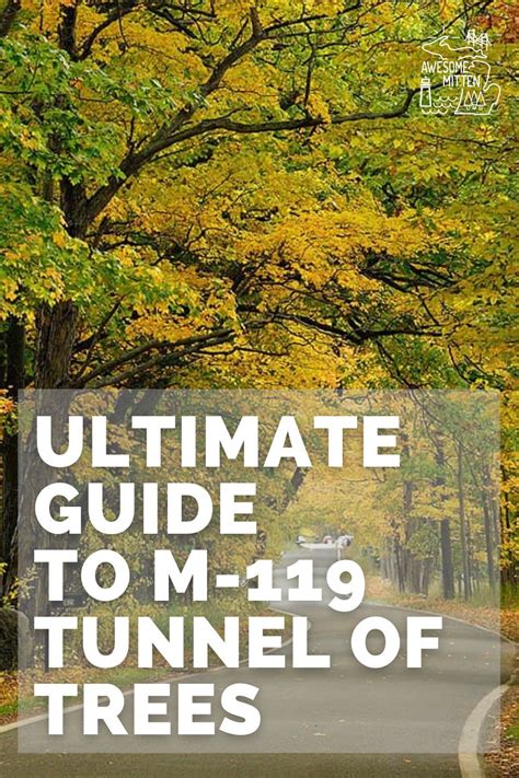 How long does it take to go through the Tunnel of Trees in Michigan