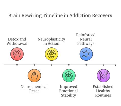 How long does it take to rewire neural pathways