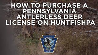 How many doe tags can I get in PA